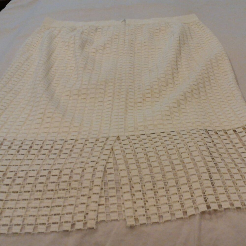 AnnTaylor Lace Skirt.  Ivory. Size 14 - Picture 4 of 4